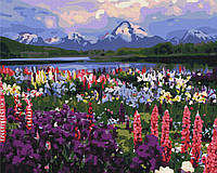 Картина по номерам BrushMe Долина полевых цветов 40х50см BS21019 QT, код: 8264714