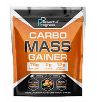 Гейнер Powerful Progress Carbo Mass Gainer 2000 g (Капучино)