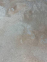 Декоративна штукатурка для стін і стелі, ТМ DECORATOR ALUMINUM, фото 4