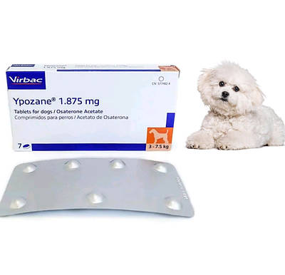 Ипозан | Сравнить цены и купить по акции со скидкой на Prom.ua