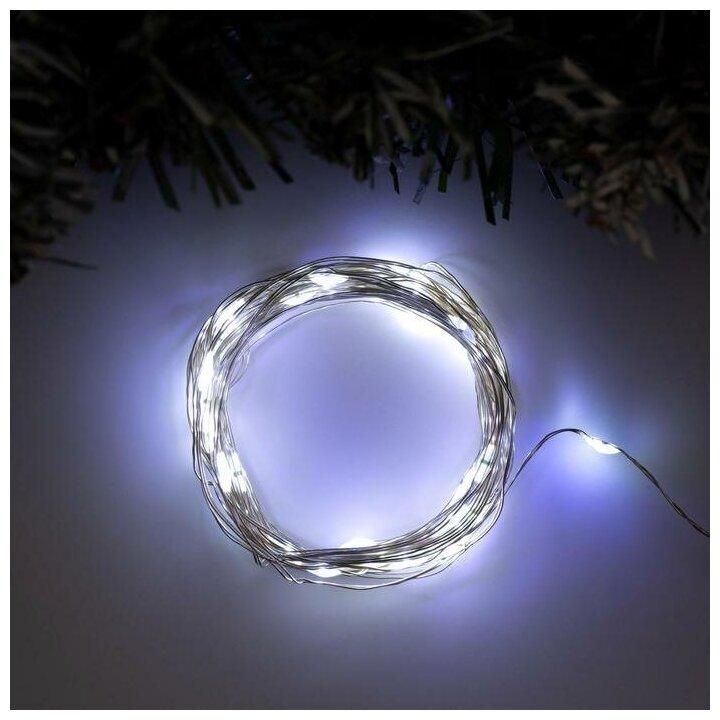 Гирлянда роса USB 3м white, фото 1