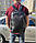 Міський чоловічий рюкзак шкіряний чорний Tiding Bag B2-03555A, фото 10