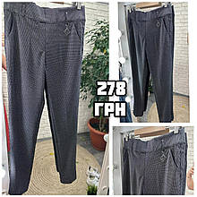 Стильні жіночі брюки, тканина "Бавовна-стрейч" 46, 48, 50, 52, 54, 56 розмір 46