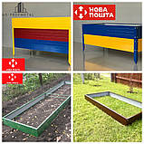 Короба для грядок, Грядки клуми., фото 2