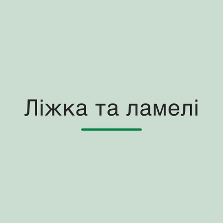 Ліжка та ламелі