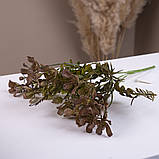 Букет травичка ромашки коричневий, фото 2