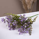 Букет травичка ромашки фіолетовий, фото 2