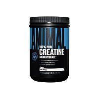 Креатин Universal Animal Creatine Powder 500g