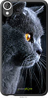 Пластиковый чехол Endorphone HTC Desire 820 Красивый кот (3038m-133-26985)