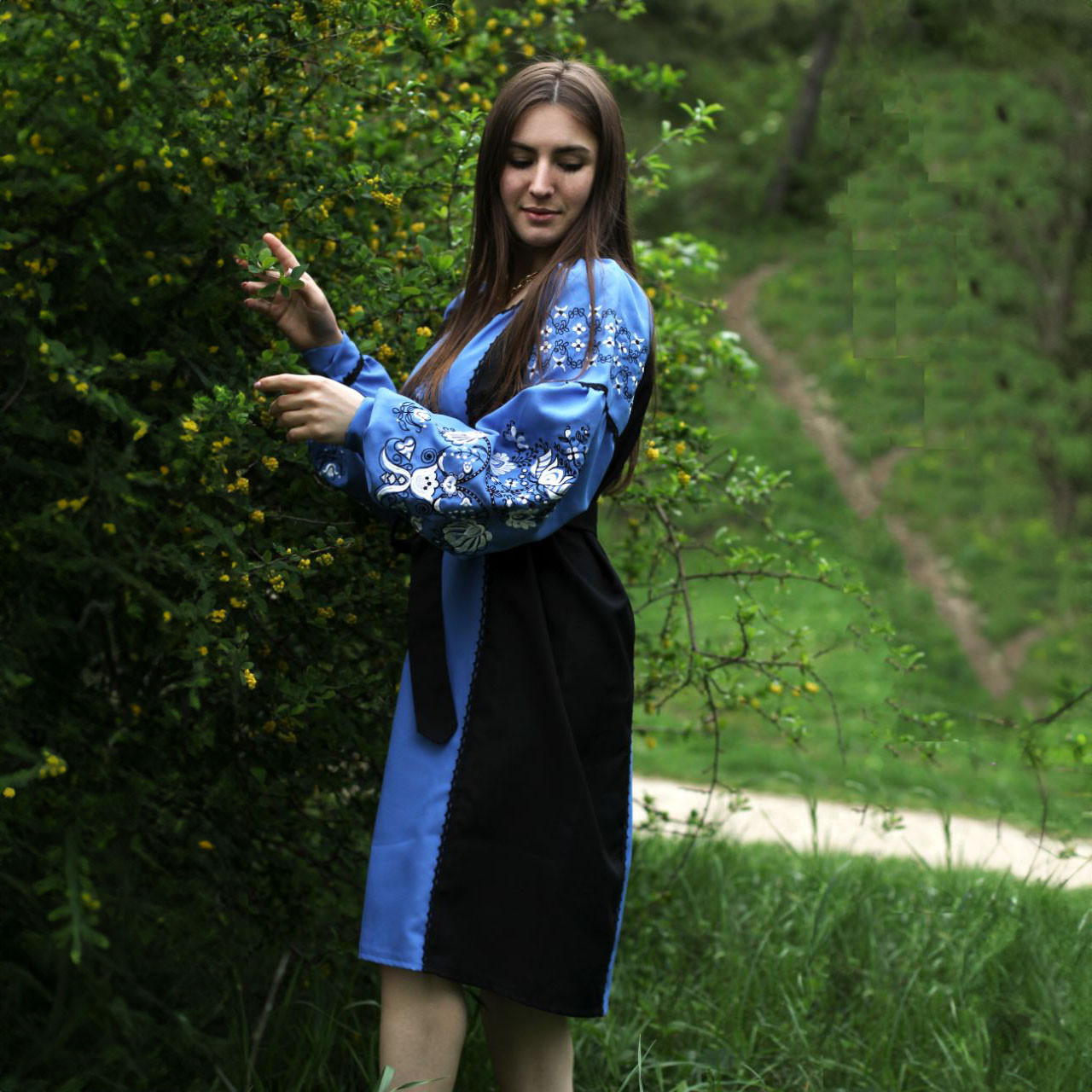 Вишита сукня "Сієнна" PJ-0070