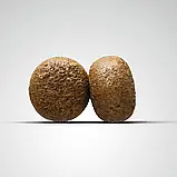 Сухий корм для цуценят та молодих собак Josera YoungStar 900 г, фото 5