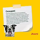 Сухий корм для цуценят та молодих собак Josera YoungStar 900 г, фото 4