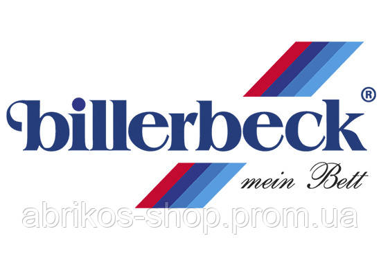 logotip_billerbek.jpg