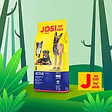 Сухий корм для дорослих собак із підвищеною активністю JosiDog Active Adult 900 г, фото 3