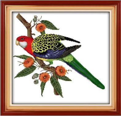 Набір для вишивання за нанесеною на канву схемою "Parrot". AIDA 14CT printed 46*44 см