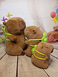 М'яка іграшка Капібара 25 см тренд Тік-Тока. Водосвинка, фото 7