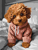 Картина за номерами 30×40 см. Чарівний мальтіпу ©art_selena_ua Ідейка КНО6589