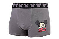 Трусы-боксеры Disney Mickey Mouse Head L grey (30892913-2) DH, код: 2467242