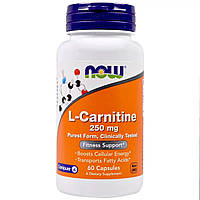 L- Карнитин, L-Carnitine, Now Foods, 250 мг, 60 вегетарианских капсул QT, код: 7674686