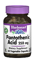 Пантотенова кислота (B5) 250 мг, Bluebonnet Nutrition, 60 гелевих капсул QT, код: 2337426