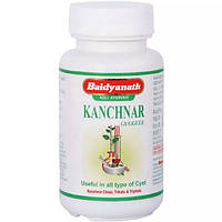 Суміш екстрактів Baidyanath Kanchnar Guggulu 80 Tabs UL, код: 8207146