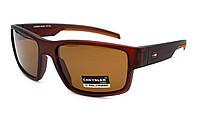Солнцезащитные очки мужские Cheysler (polarized) 03068-c2 Коричневый KC, код: 7920458