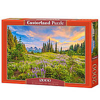 Пазлы Утренние цветы 2000 элементов Castorland (C-200863) XN, код: 8238682