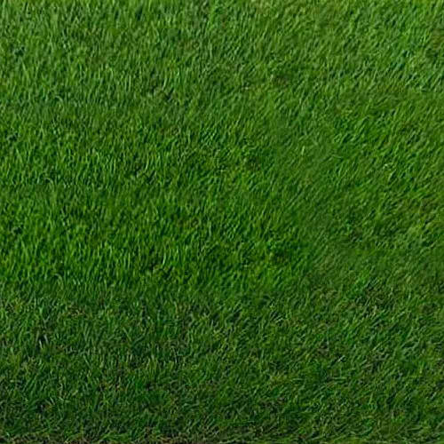 Ковролин Turfgrass Alvira Lime искусственная трава 25 мм 2 м зеленый ...