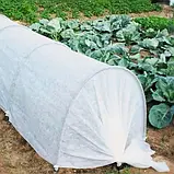 Агроволокно 17 г./м.кв. 3,2*100 м. біле укривне від заморозків в рулоні "GrowTex", фото 5