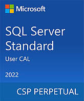 Програмовий продукт Microsoft Sql Server 2022 — 1 User Cal