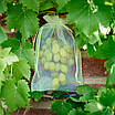 Мішечки сітка з органзи для захисту винограду від комах LOSSO 25*35 см, зелені (100 шт), осередок 0,5 мм, фото 2