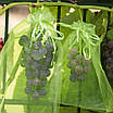 Мішечки сітка з органзи для захисту винограду від комах LOSSO 25*35 см, зелені (100 шт), осередок 0,5 мм, фото 4