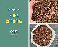 Кора Соснова (відсів)