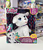 Інтерактивне танцююче Цуценя FurReal Friends GoGo My Dancin' Pup Цуценя ГоГо, фото 6