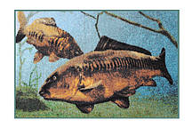 Килимок 3D carps underwater rug