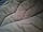 Спальний мішок зимовий на флісі, спальник Sleeping bag SLX 200*90 см, фото 3