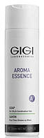 Мыло для жирной и комбинированной кожи Gigi Aroma Essence Soap For Oily Combination Skin, 250
