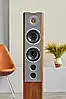 Audiovector R6 Arrete Italian Walnut — Підлогова акустика, фото 5