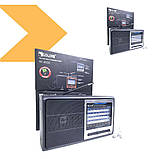 Портативна аккустична система GOLON RX 3050 (42721-RX 3050_217), фото 2