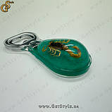 Відкривачка Scorpio Opener у подарунковій упаковці, фото 2