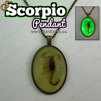 Кулон із скорпіоном Scorpio Pendant світиться в темряві