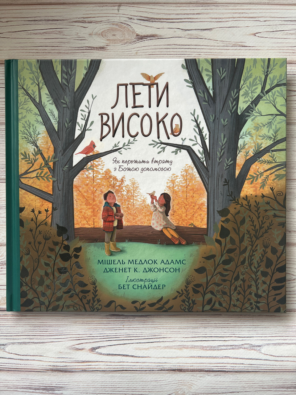 Лети високо. Як пережити втрату з Божою допомогою. Мішель Медлок Адамс, Дженет К. Джонсон, фото 1