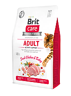 Сухой корм для активных и уличных кошек Брит Brit Care Cat GF Adult Activity Support 7 кг