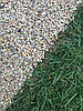 Кам'яний килим, нанесення покриття "рідкий камінь", фото 4