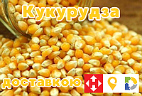 В Мішках по 30 кг! Продаємо Кормову Кукурудзу!