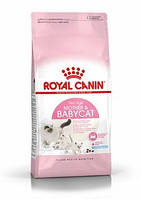 Kорм Royal Canin Mother Babycat для кормящих кошек и котят 4 кг