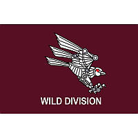 Флаг «Wild Division» рота ударных БПЛА в составе 82 ОДШБр ВСУ (flag-00811)