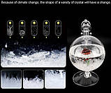 Барометр Штормгласс RESTEQ глобус великий, крапля Storm glass на скляній підставці з червоною трояндою, фото 3