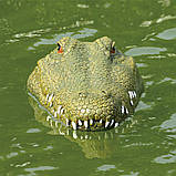 Катер крокодил, р/к плаваюча голова крокодила, іграшка з імітацією голови крокодила Flytec V002 2,4G, фото 6