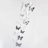 Різнокольорові метелики на стіні. Набір різнокольорових метеликів. Декоративні метелики. 3D метелик наклейки. Метелики для декору, фото 5